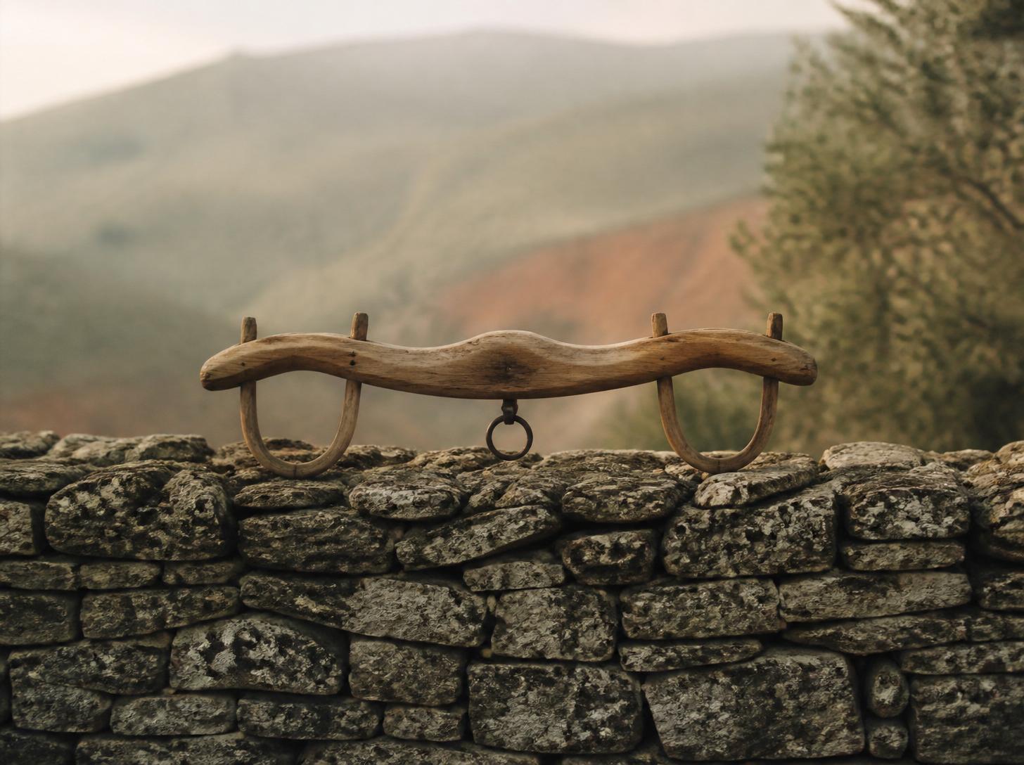 ¿Es esta la carga que Jesús te dio? · Diagnóstico pastoral